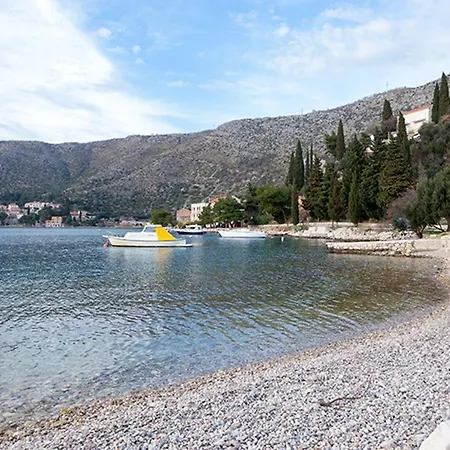 Wild Orange 1, Mali Zaton Bay * Zaton (Dubrovnik-Neretva)